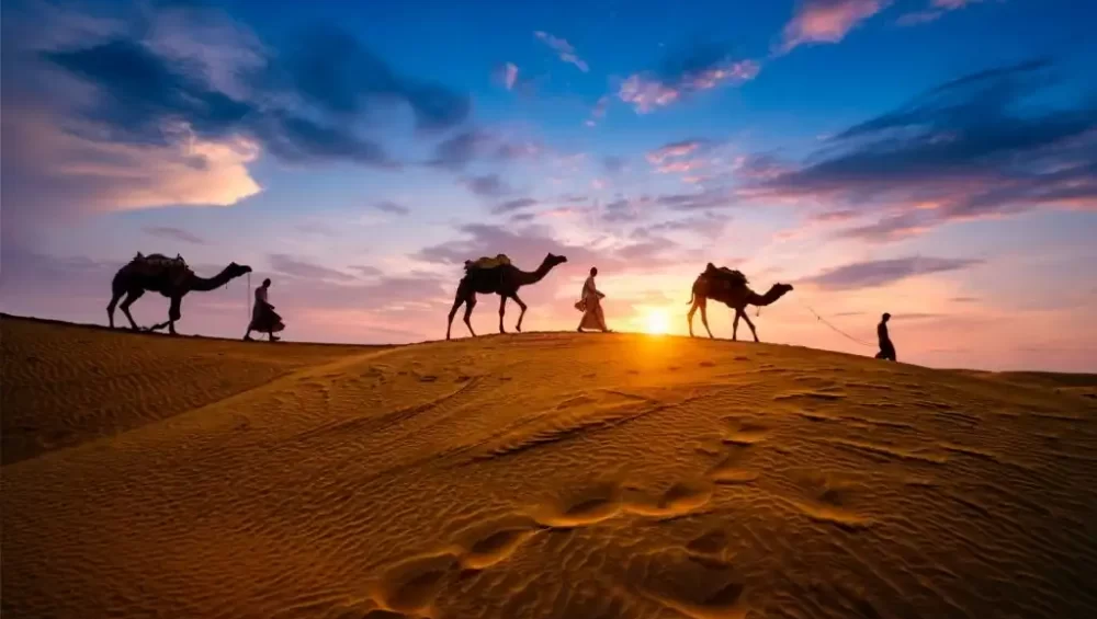 Marrakech Desert Tours