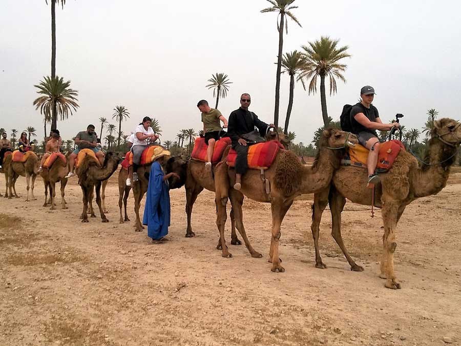 Camel ride and quad biking tour Marrakech