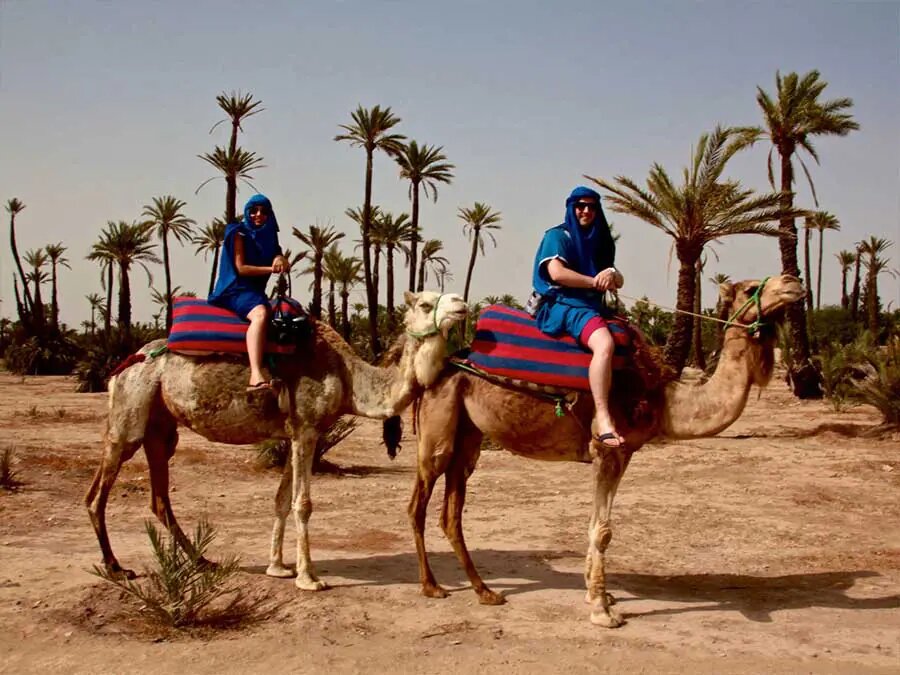 Camel trek in the palmeraie Marrakech