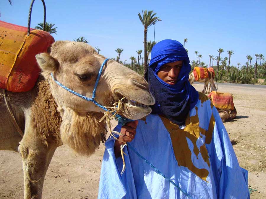 Marrakech camel trek