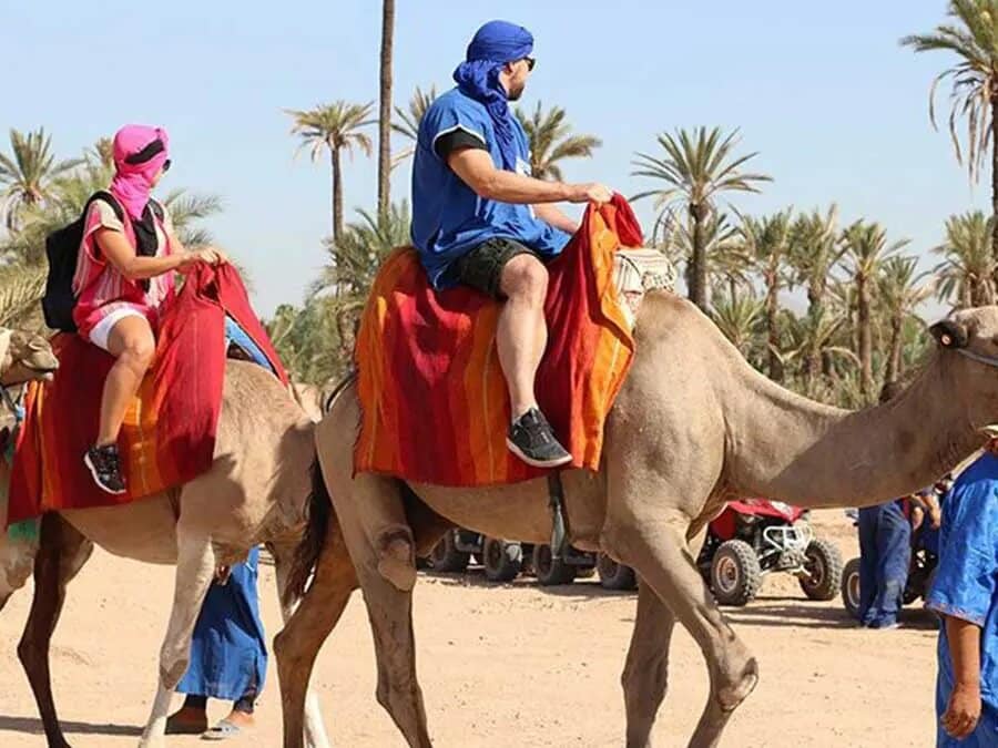 Marrakech quad biking and camel ride