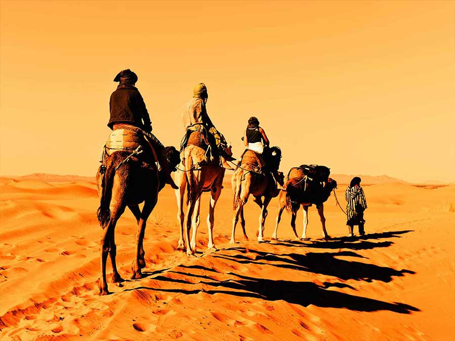 Moroccan Sahara tour from Marrakech to Fes