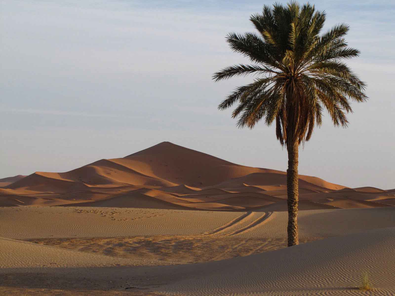 Morocco Sahara desert tour 4 days