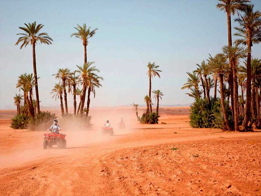 Palmeraie-Marrakech-quad-bike-tour