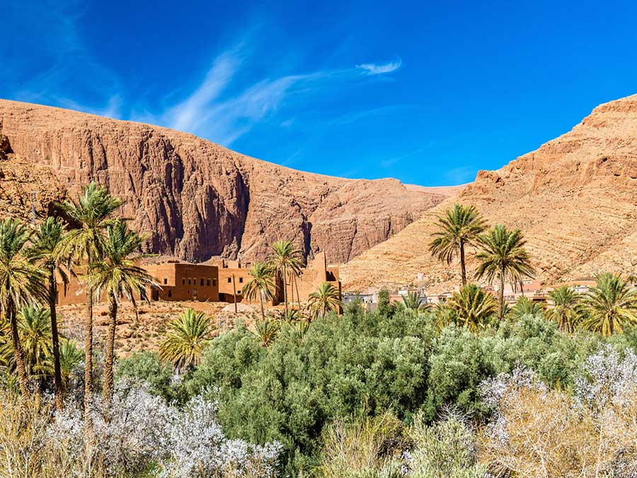 Shared desert trip to Fes from Marrakech 3 days