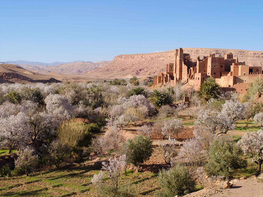 Day trip to Ouarzazate and Kasbah Ait Ben Hadou from Marrakech