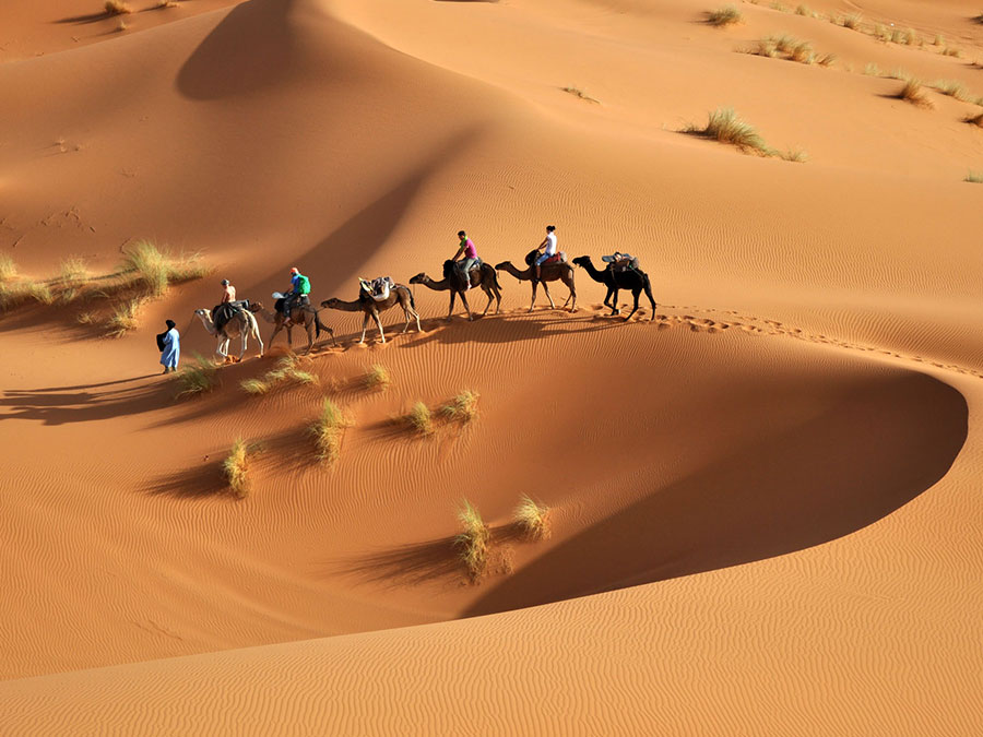 Morocco Desert Tour From Casablanca Via Chefchaouen & Fes