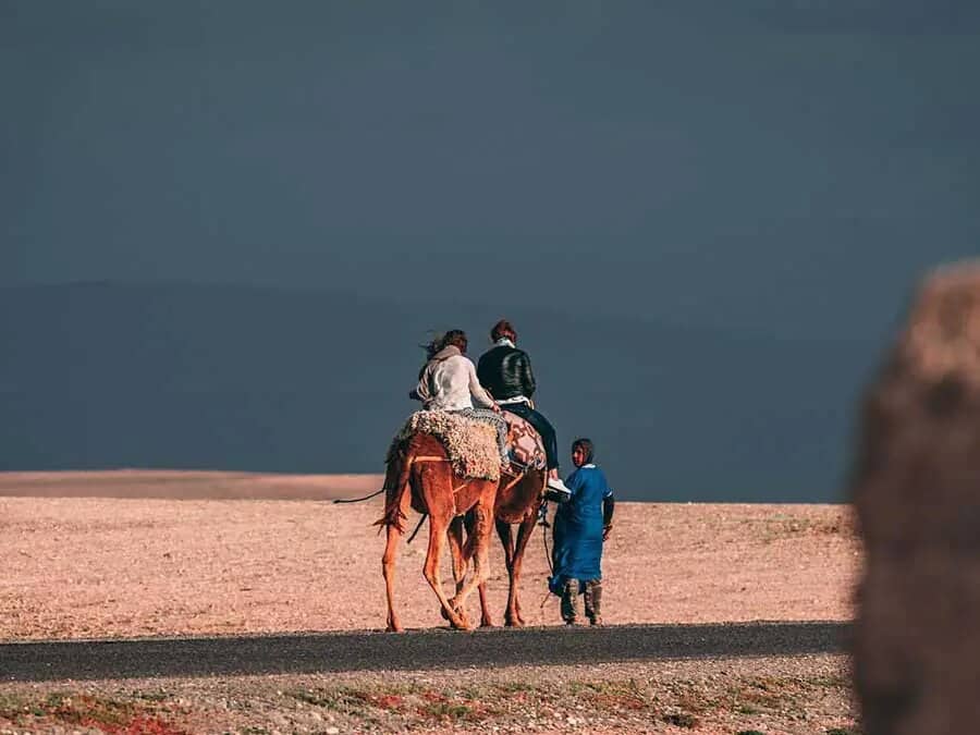 sunset camel ride Agafay desert