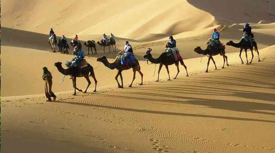 Sunset camel trek in Erg Chebbi for your 3 days tour from Fes to Marrakech