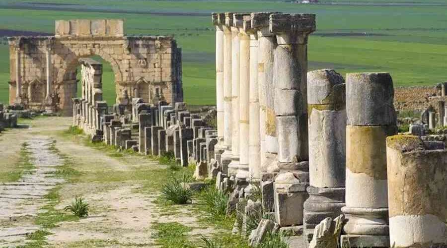 Ancient Roman columns line the Decumanus Maximus at Volubilis in Morocco's fertile plains.