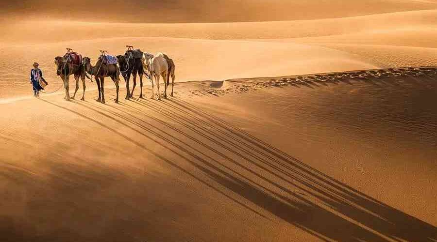 Camel caravan in Merzouga during your Fes to Marrakech 3 day desert tour