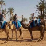 Marrakech desert camel ride