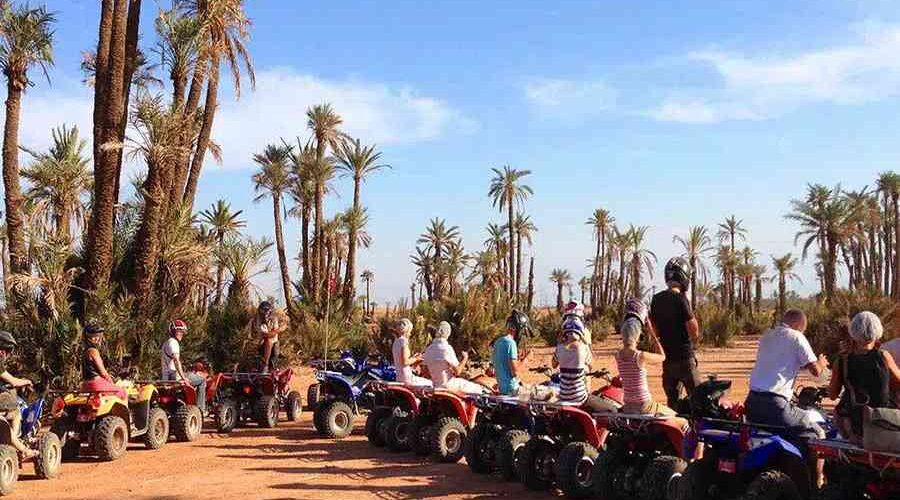 Tourists preparing for a quad bike tour among the palm trees in Marrakech's Palmeraie area.
