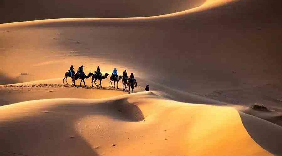 A camel caravan in Erg Chebbi dunes as the highlight of our shared Marrakech to Fes 3 day desert trips