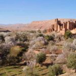 Kasbah Ait Ben Haddou amidst blossoming almond trees in Ounila Valley.