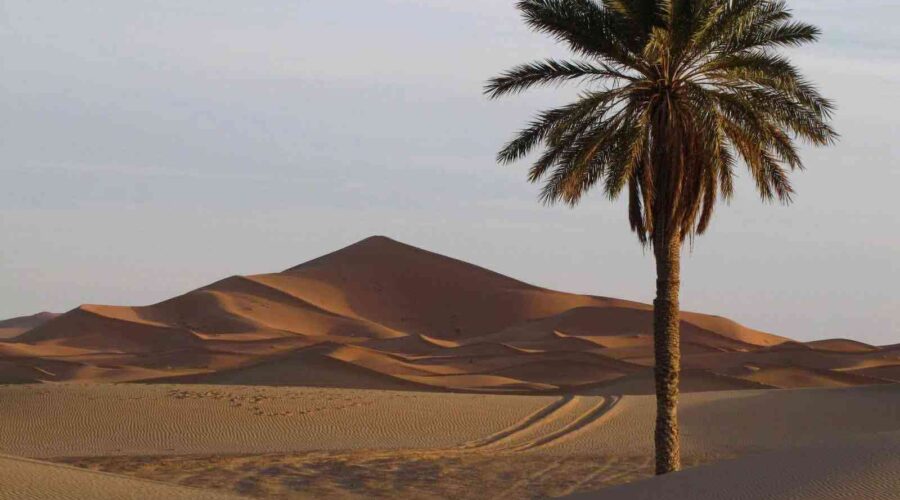 Morocco Sahara desert tour 4 days
