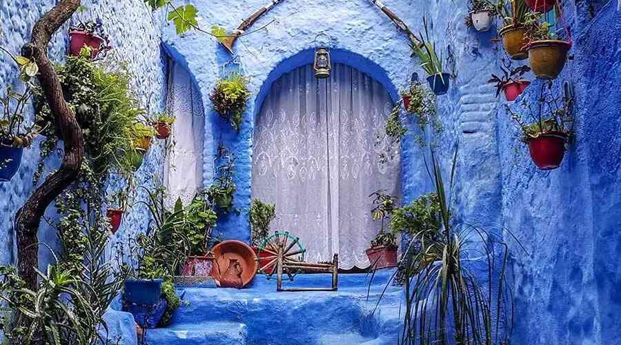 Chefchaouen streets and stairs painted in blue with flower vases hung around a white washed gate.