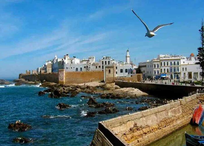 Seagull flying over the coastal town of Essaouira, Morocco, with fortified walls and white buildings along the shoreline.