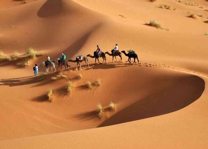 Camel caravan in Erg Chebbi dunes