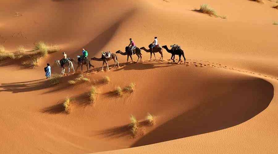 Camel caravan in Erg Chebbi dunes