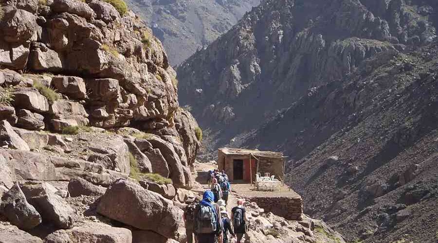 Trekkers on a guided hike ascending the rugged trails of Mount Toubkal in Morocco.