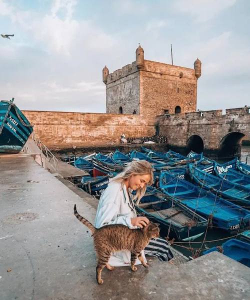 A lady with a cat in Essaouira port, during her private day trip from Marrakech