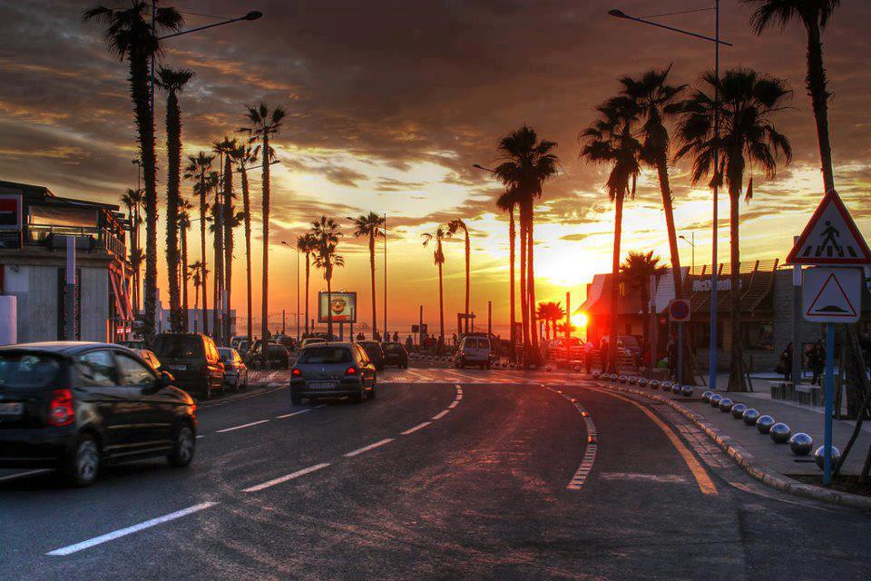 Casablanca Corniche at sunset with palm trees aligned in the horizon