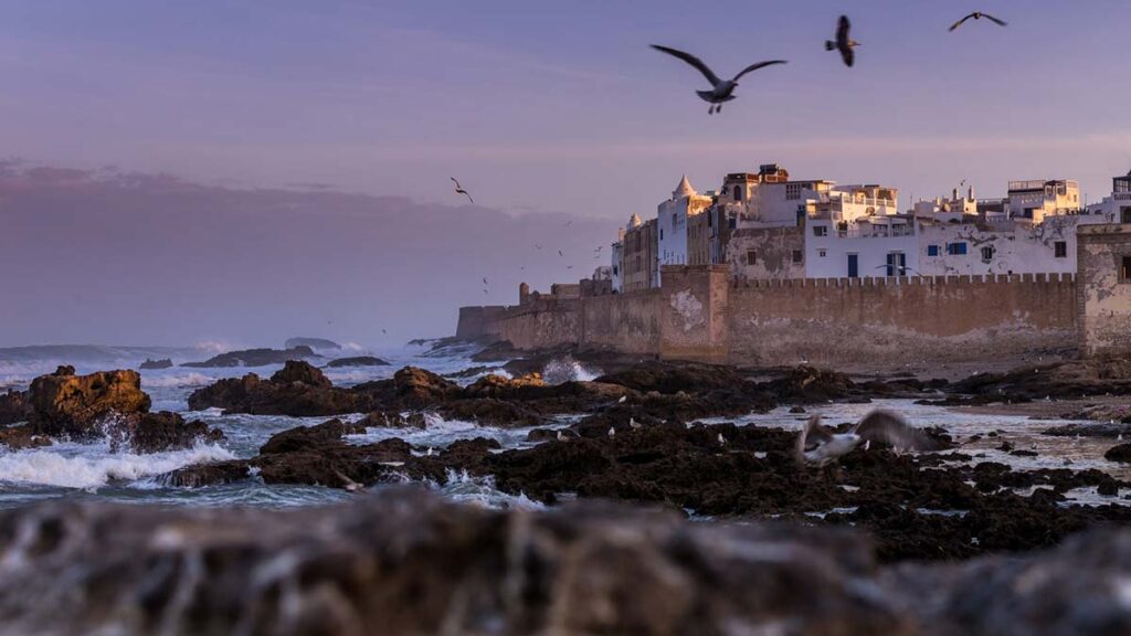 Essaouira's historic Medina on the Atlantic coast at dusk with seagulls and rocky shore