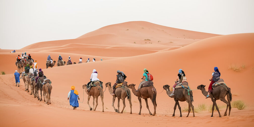 A group of tourists riding camels in Merzouga dunes during their shared 3 days desert tour from Marrakech.