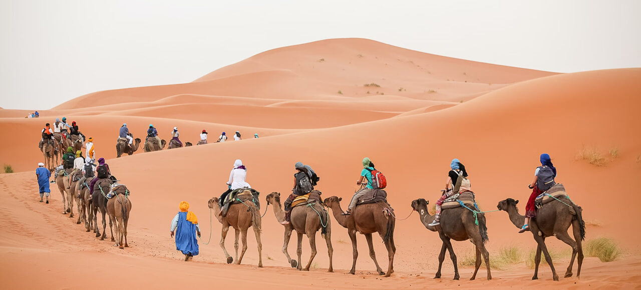 A group of tourists riding camels in Merzouga dunes during their shared 3 days desert tour from Marrakech.