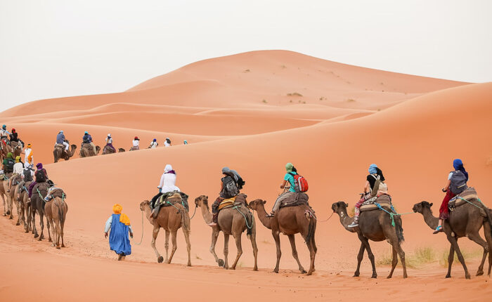 Caravan of tourists on a camel trek across the sweeping sand dunes of the Moroccan Sahara Desert.