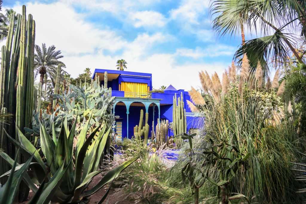 Lush Majorelle Garden with iconic cobalt blue villa and vibrant flora in Marrakech.