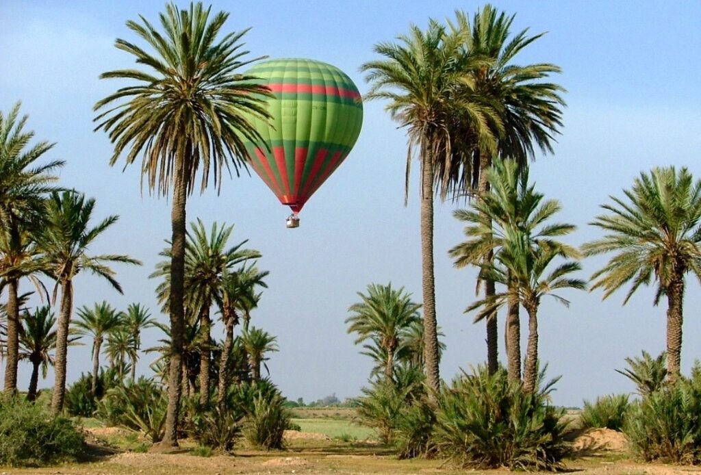 Colorful hot air balloon ascending among the palm groves outside Marrakech.