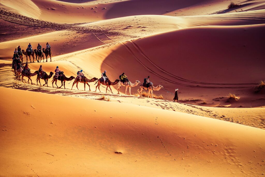 group of visitors riding camels in Morocco Sahara desert dunes during sunset and heading to their desert camp