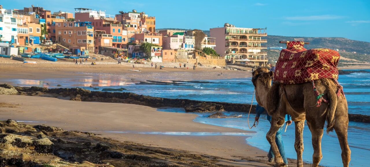 Camel on Taghazout beach with Moroccan village in the background.