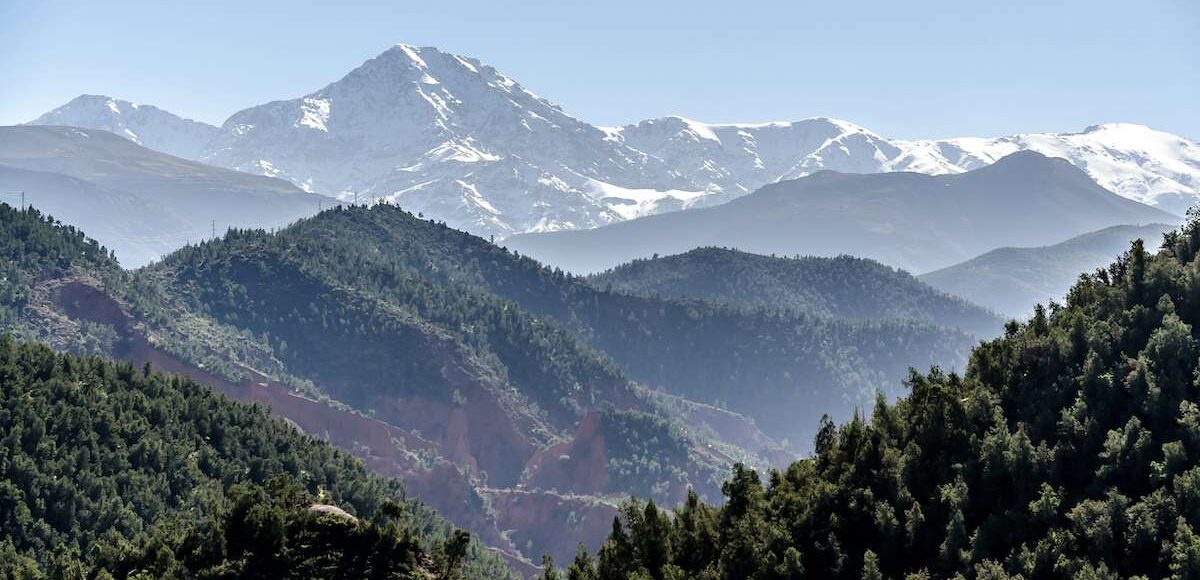 Verdant forests in the foreground leading to the snow-covered peaks of the Atlas Mountains under a clear blue sky.