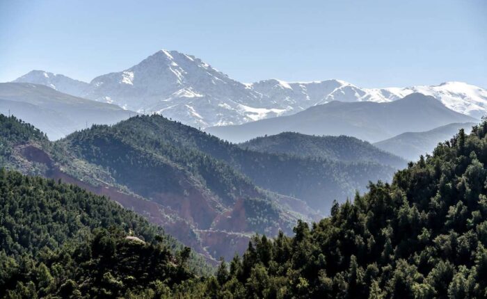 Verdant forests in the foreground leading to the snow-covered peaks of the Atlas Mountains under a clear blue sky.