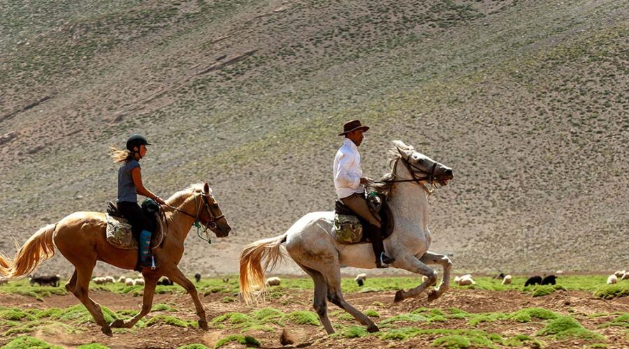 Gallop Through the Atlas - Horse Riding Adventure from Marrakech