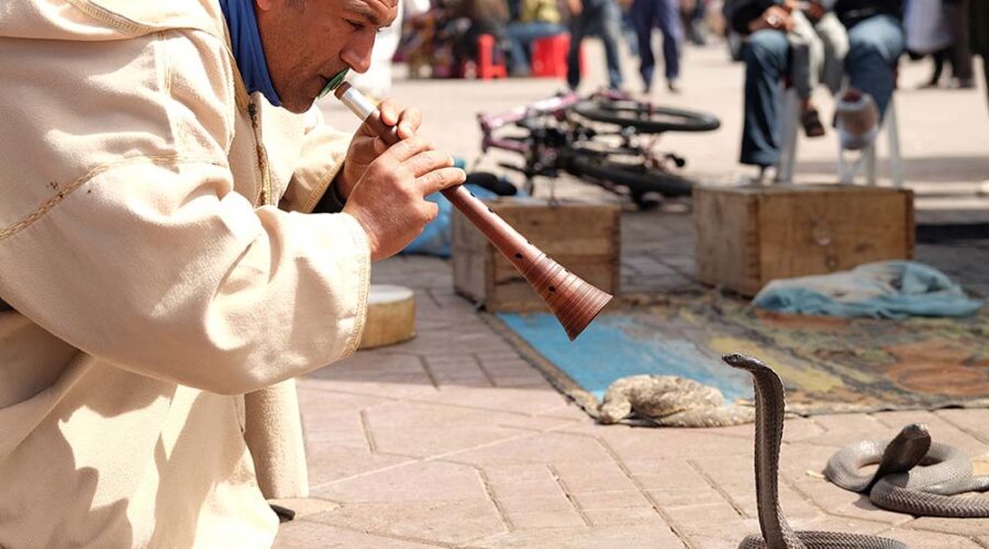 Snake charmer performing with a cobra in Jemaa el-Fnaa square during a Marrakech Medina walking tour.