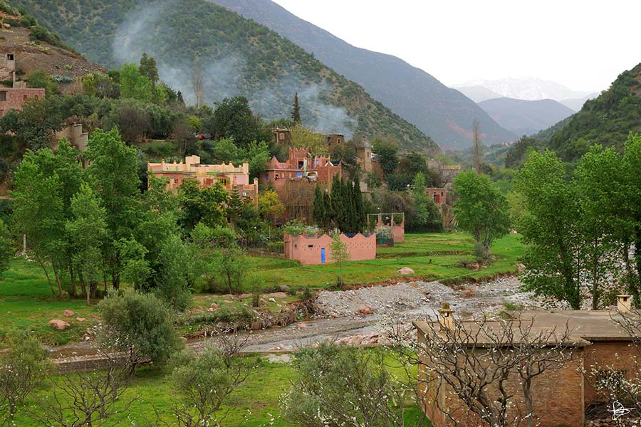 Lush Ourika Valley with traditional Berber village and Atlas Mountains in the background, Morocco.