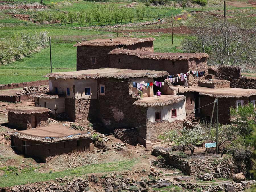 Earthen Berber houses with thatched roofs in Ourika Valley with green fields in the background.