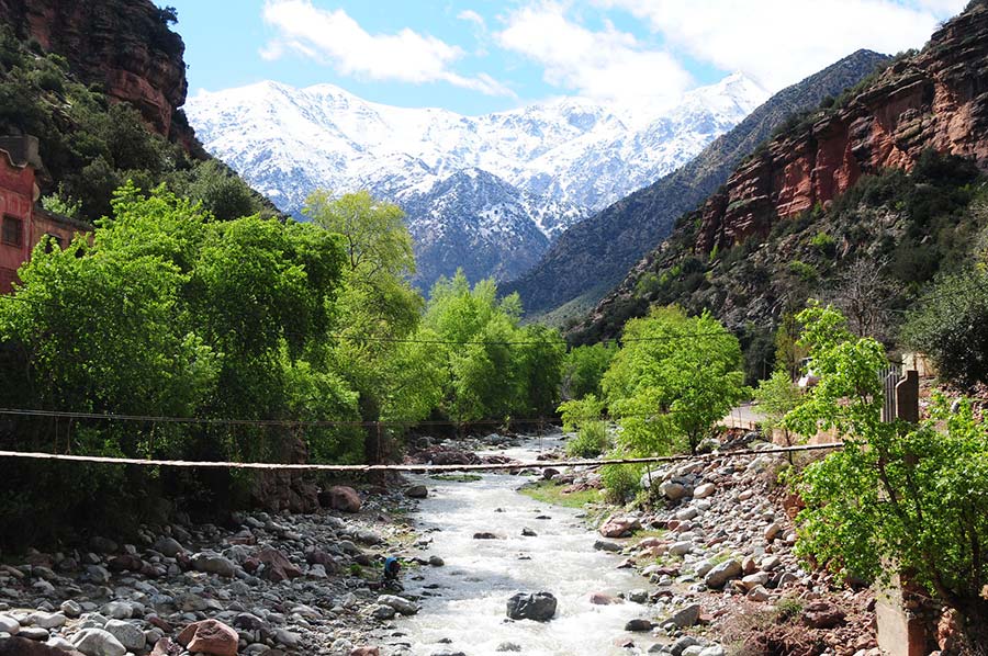Rushing river through Ourika Valley with lush greenery and snow-capped Atlas Mountains.