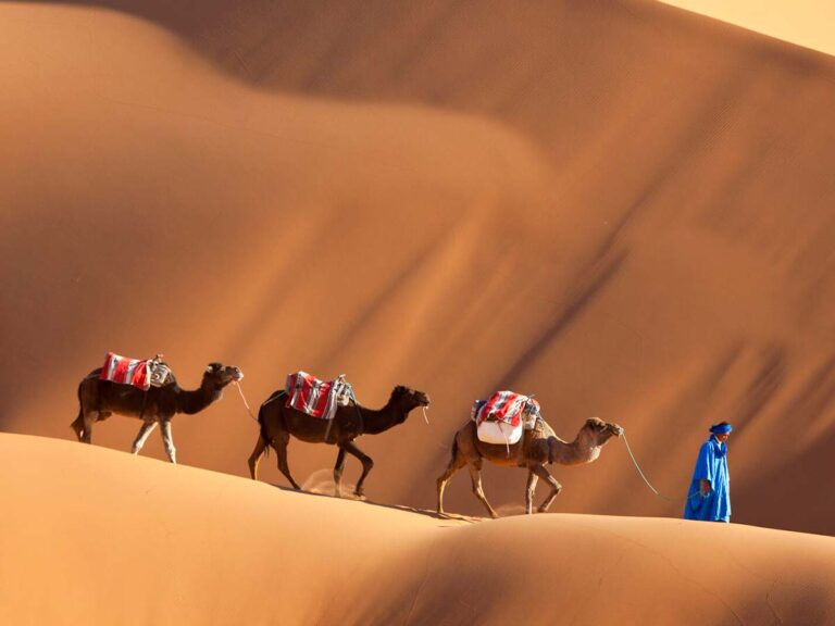 Caravane de chameaux menée par un guide en bleu sur les dunes du Sahara à l'Erg Chebbi