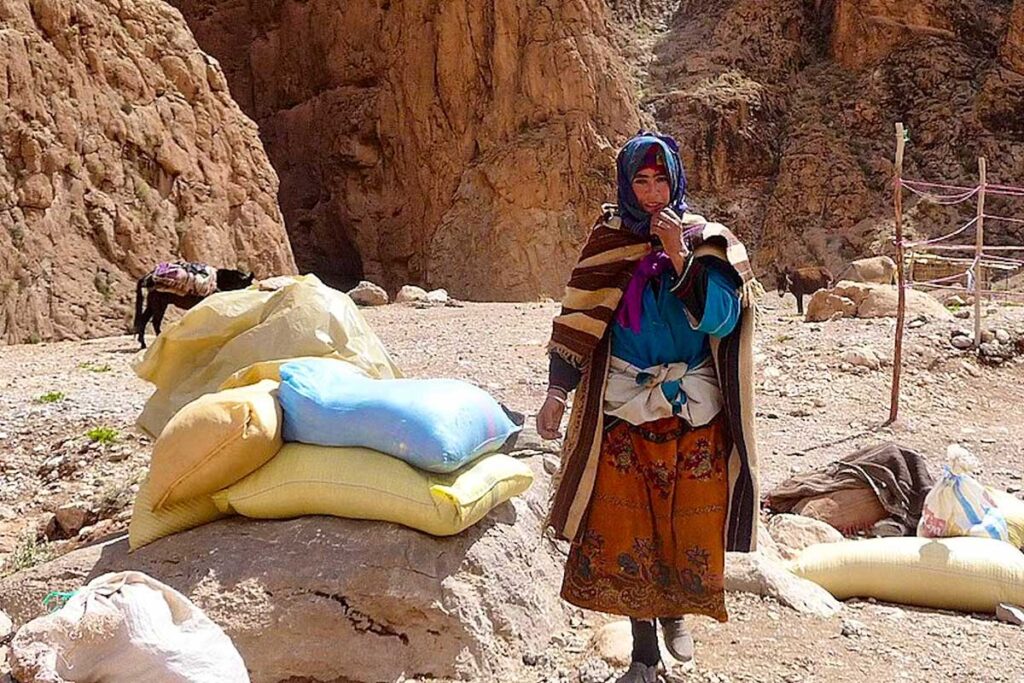 Berber woman with grain sacks and pack-donkey inside Todgha Gorge, illustrating Amazigh life in Morocco’s High Atlas canyon