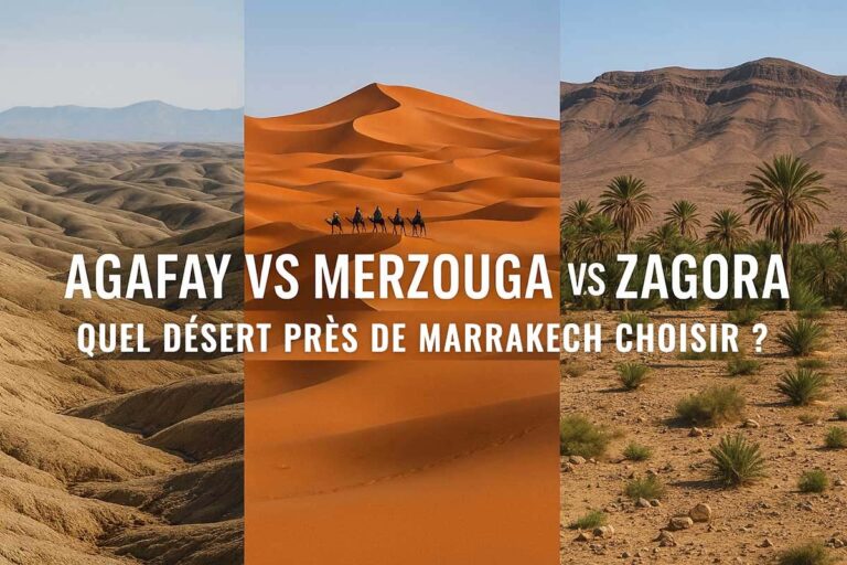 Comparatif des trois déserts près de Marrakech : le désert rocheux d'Agafay, les dunes orangées de Merzouga avec une caravane de chameaux, et la vallée de Zagora bordée de palmiers et de montagnes