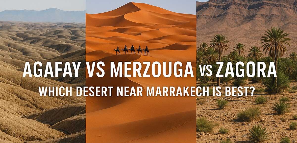 Collage showing Agafay rocky hills, Zagora low dunes with palms, and Merzouga high dunes