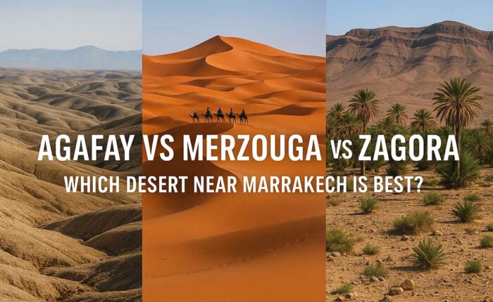 Collage showing Agafay rocky hills, Zagora low dunes with palms, and Merzouga high dunes