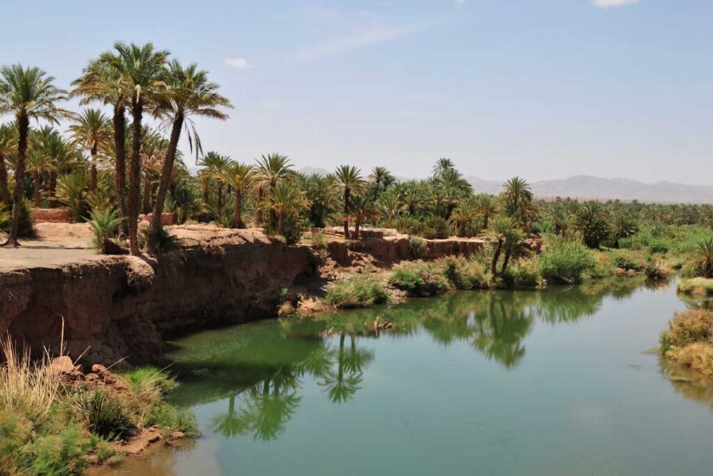 Palm groves and river oasis in the Draa Valley on the road to Zagora Desert Morocco.