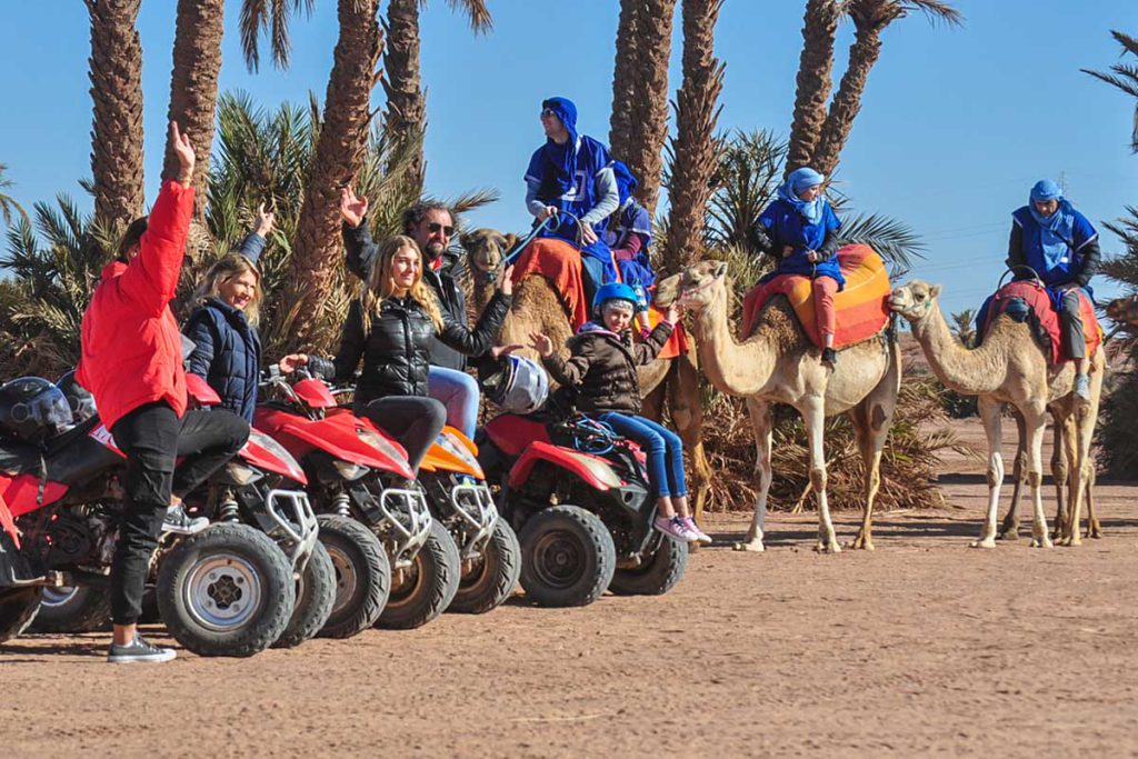 Groupe familial sur des quads à côté de chameaux dans la palmeraie de Marrakech lors d'un combo