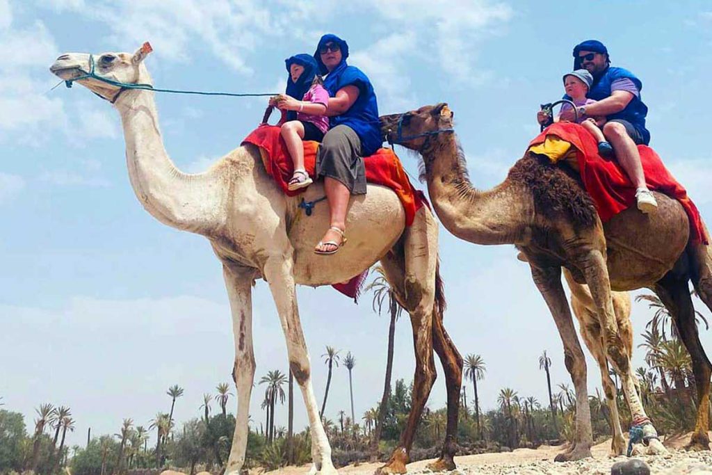 Two parents each holding a young child while riding camels through the Marrakech Palmeraie under a bright sky